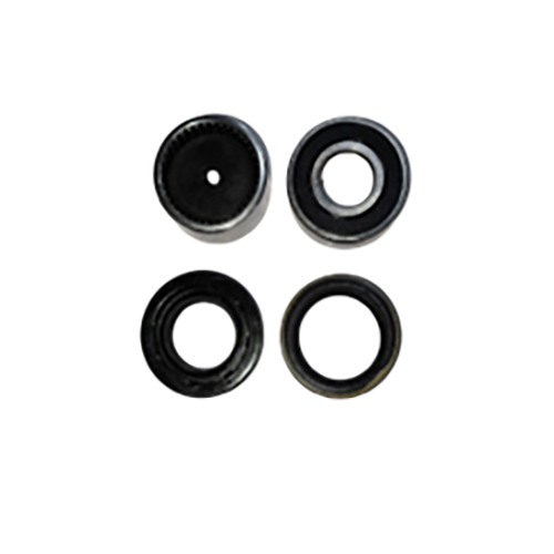 Rear Axle Bearing Kit - Color: Black & Green