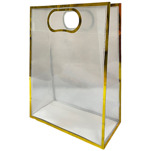 Transparent Bag