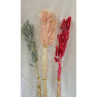 Hdv-6-2 Bunny Tail Flower Brooch - Color: Multicolor