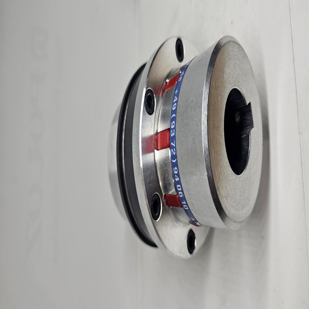 TORQUE LIMITER WITH SPIDER COUPLINGS