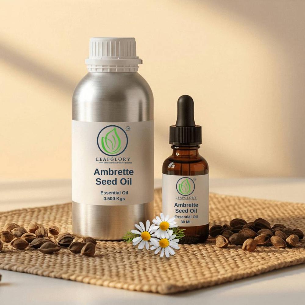 Natural Ambrette Seed Oil (musk Dana) 100% Pure Therapeutic Grade Essential Oil |premium Grade, Bulk Supplier From India| Leafglory - Age Group: Adults