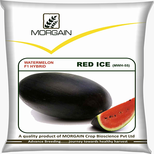 Red Ice MWH-55 F1 Watermelon Hybrid Seeds