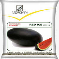 Red Ice MWH-55 F1 Watermelon Hybrid Seeds