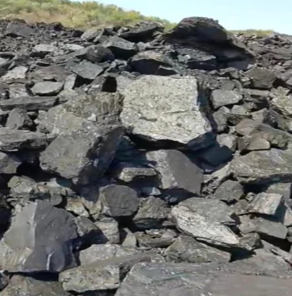 Steam Coal - Shape: Briquette