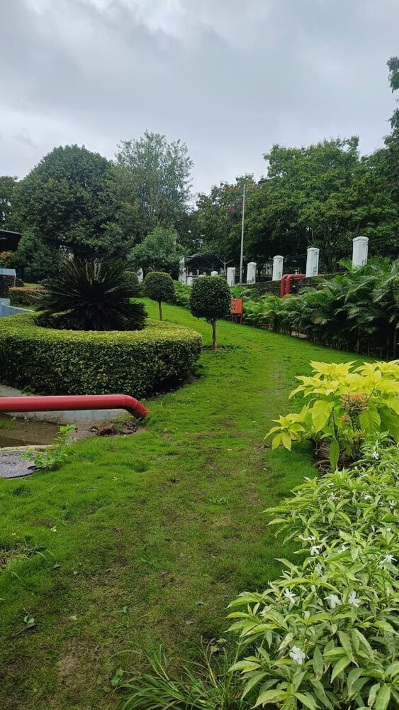 Landscaping Engineering Services