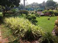 Vertical Garden Landscaping Services