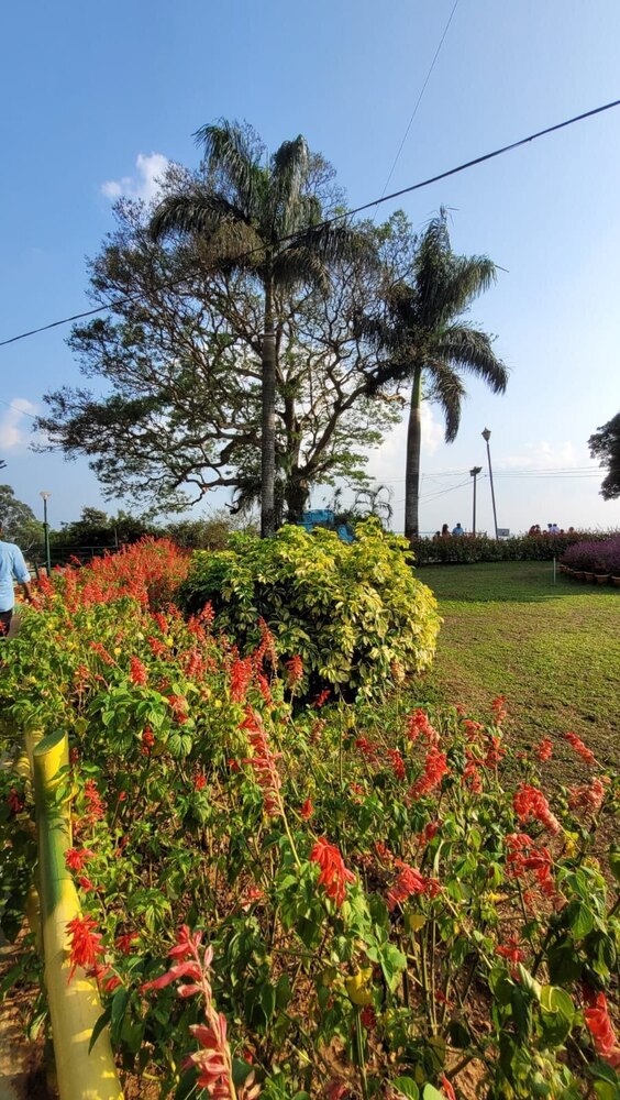 Park Renovation Services