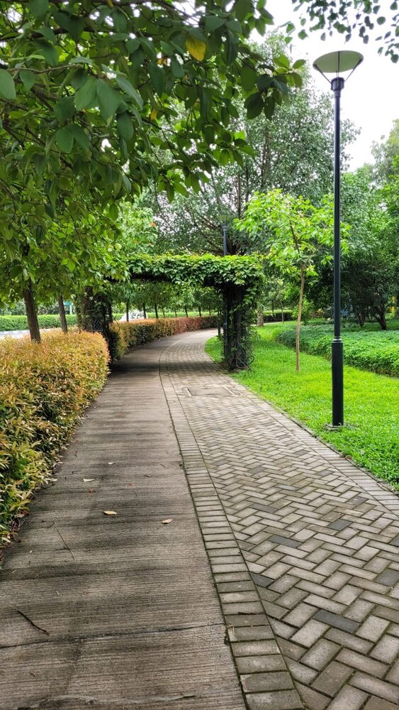 Park Construction सेवाएं