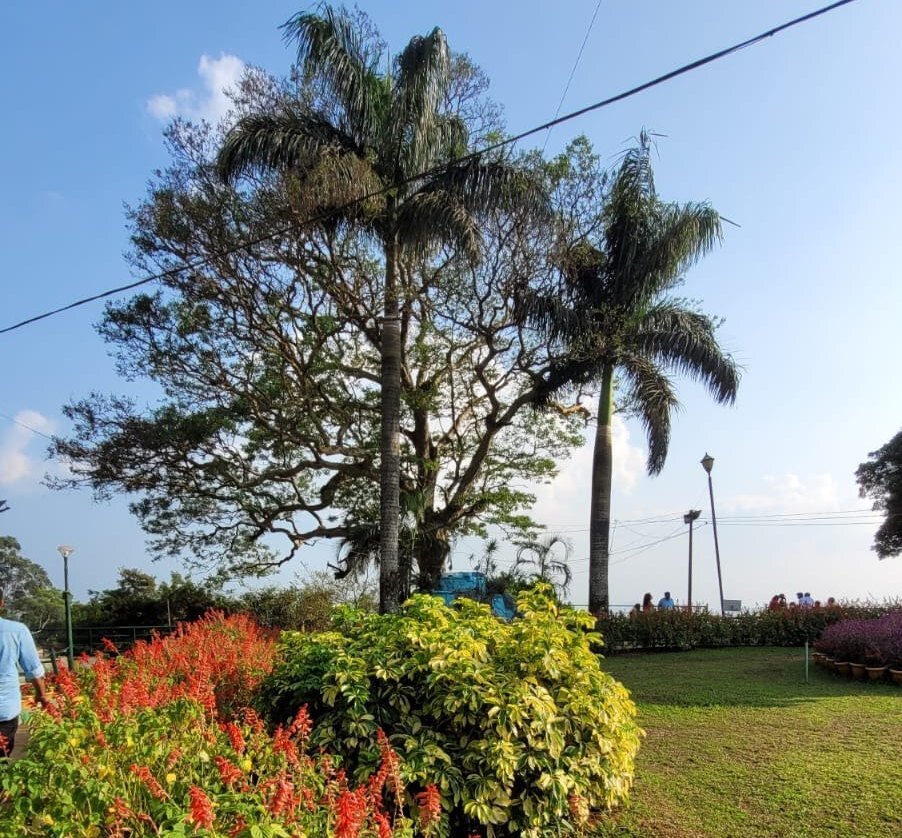 Park Construction Services