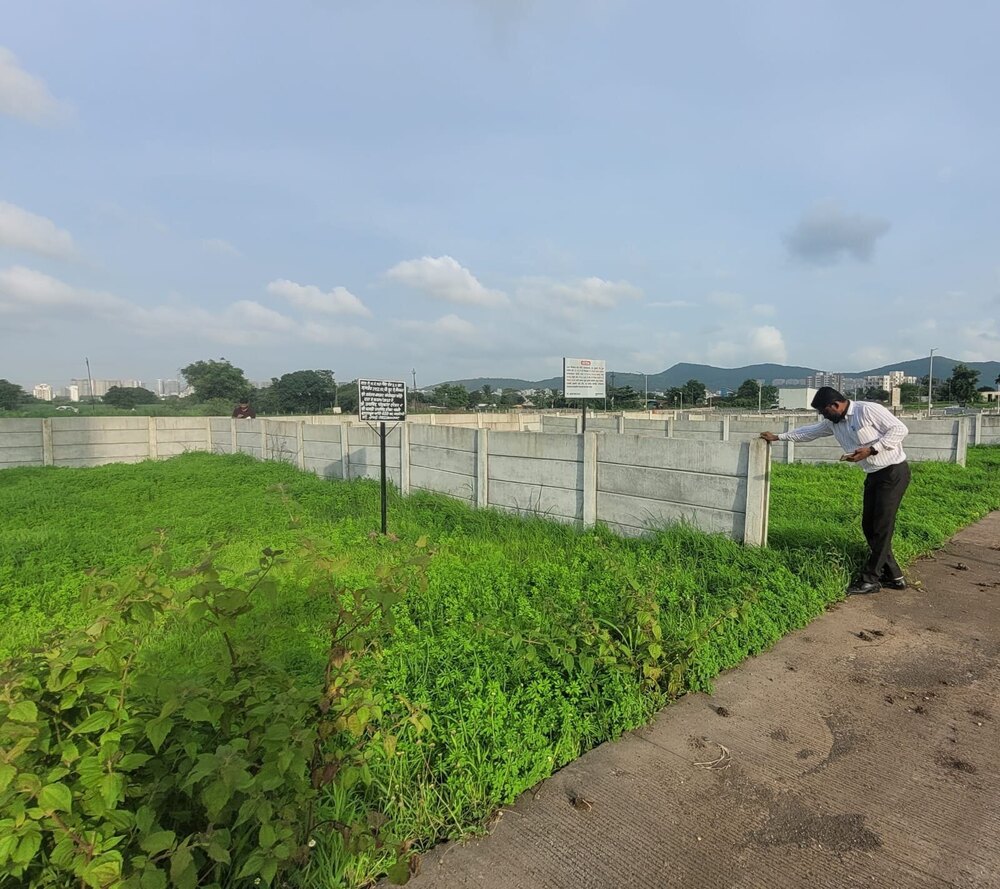 Plot Demarcation Services