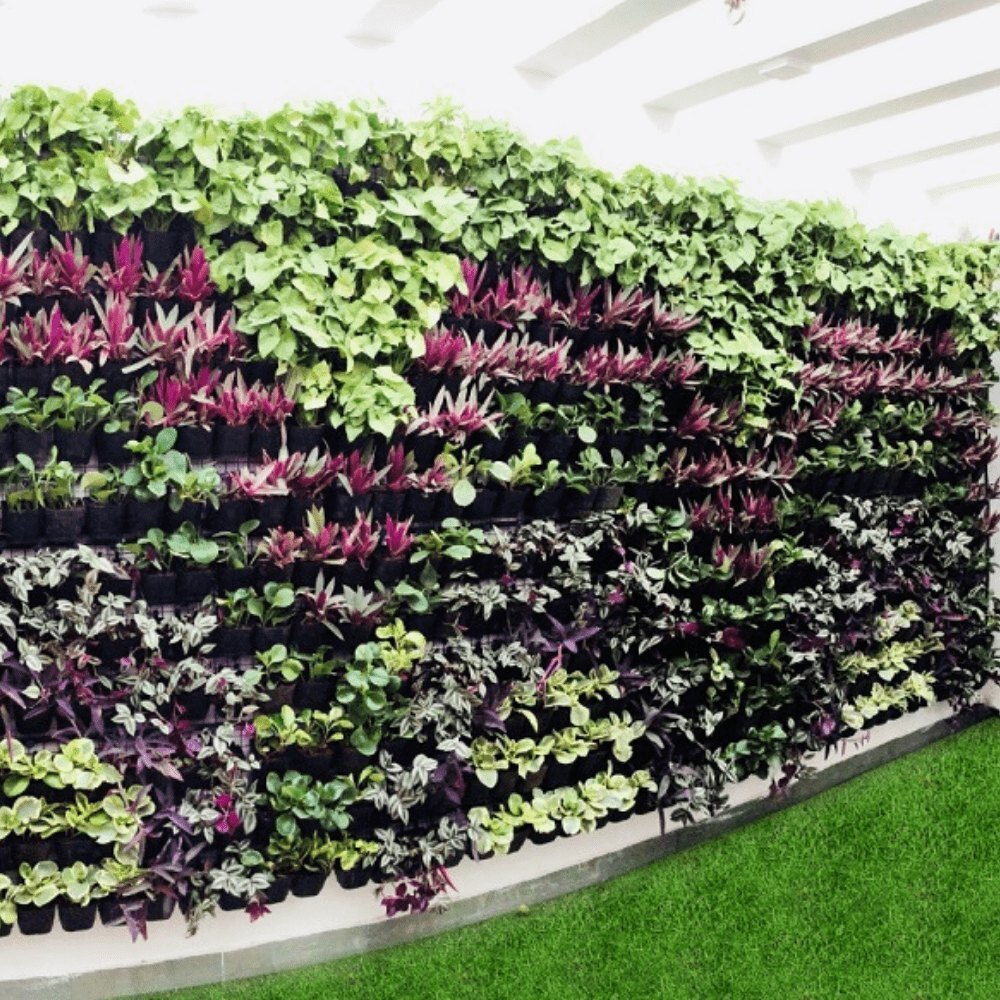 vertical Gardening Services