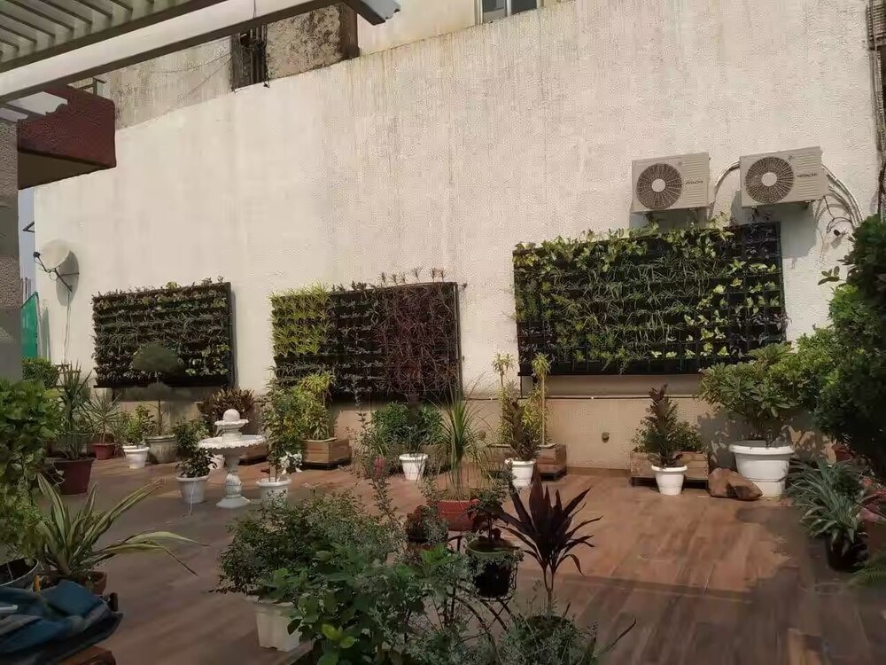 vertical Gardening Services