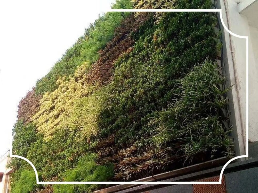 vertical Gardening Services