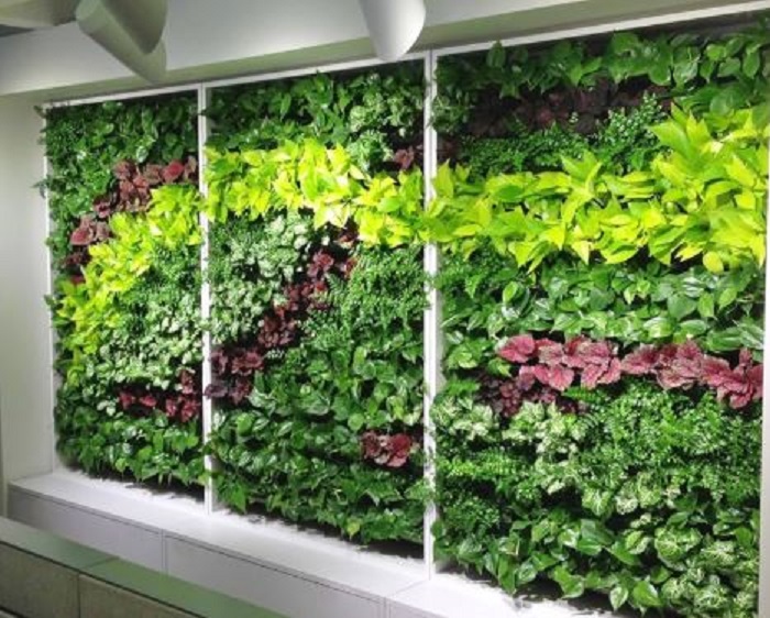 Vertical Garden Landscaping सेवाएं
