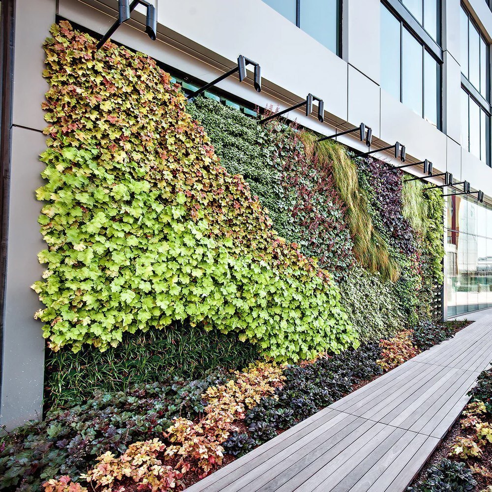 Vertical Garden Landscaping Services