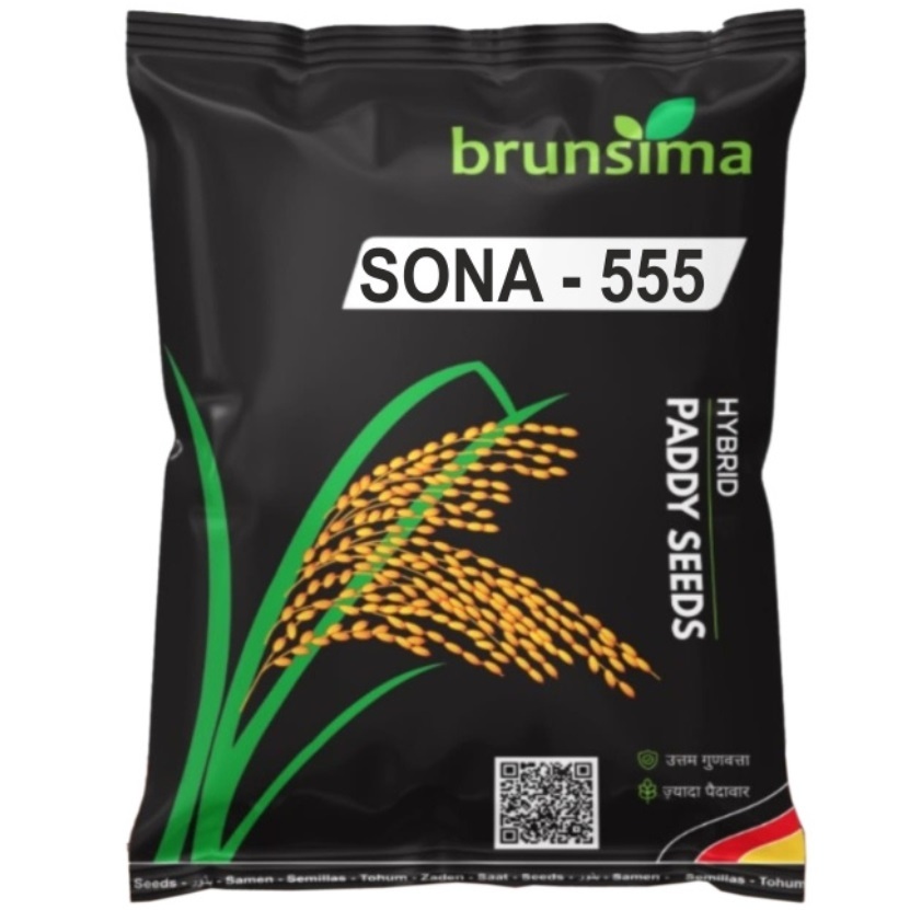 Sona-555 Rice