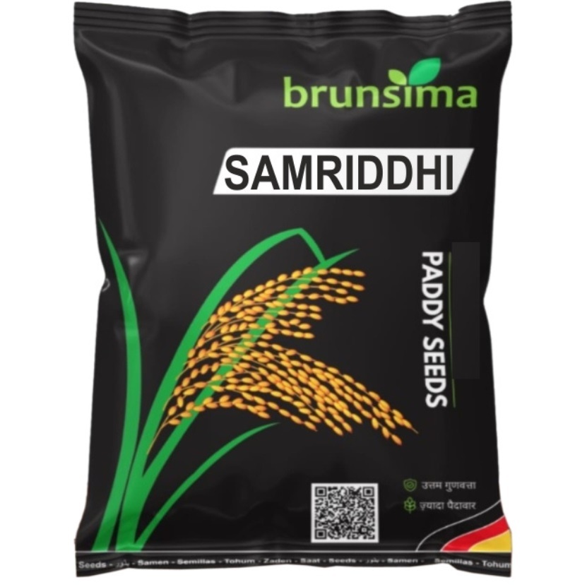 Samriddhi Rice - Cultivation Type: Common