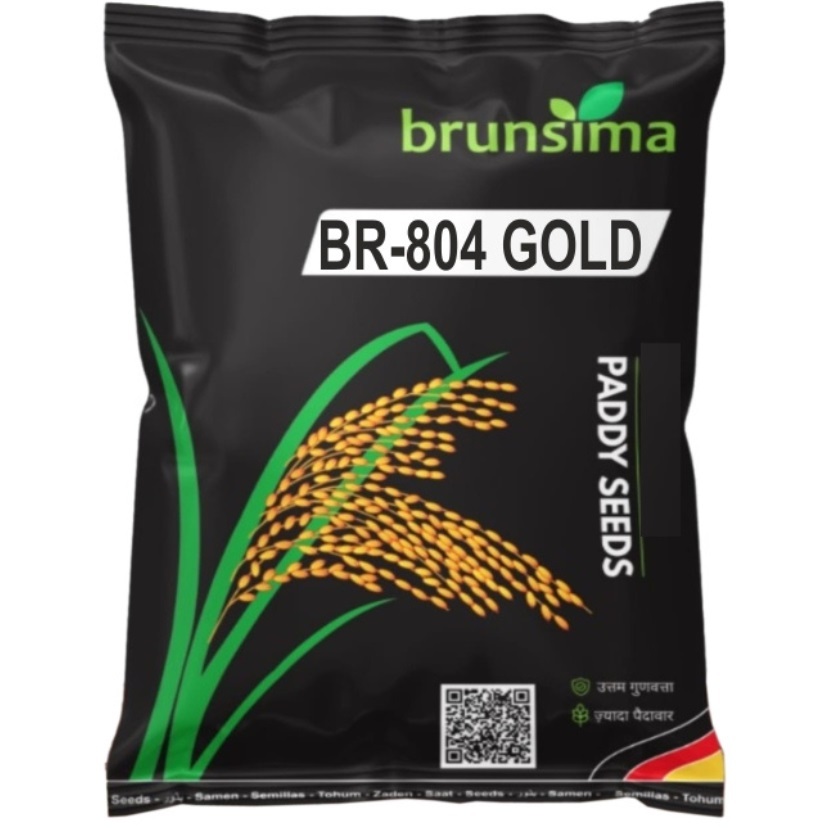 Br-804 Gold Rice - Cultivation Type: Common