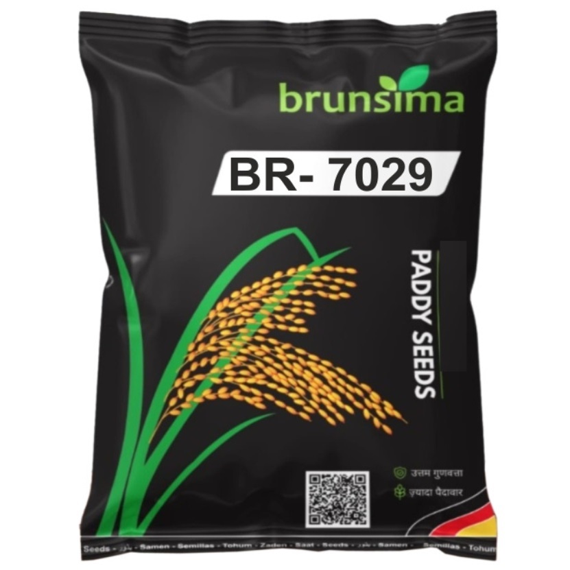 BR-7029 Rice