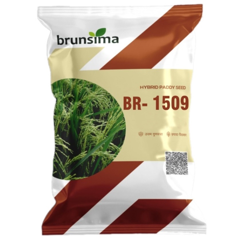 BR-1509 Rice