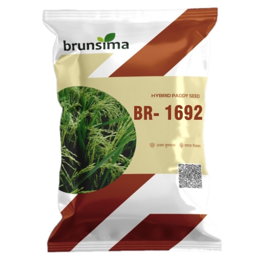 BR-1692 Rice