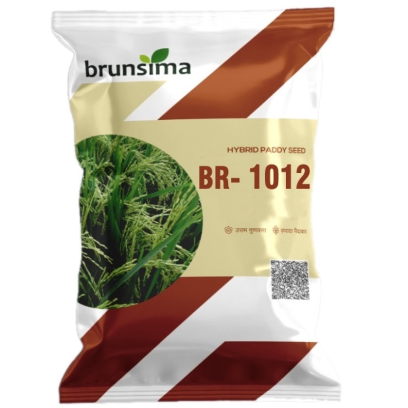 Br-1012 Rice - Cultivation Type: Common