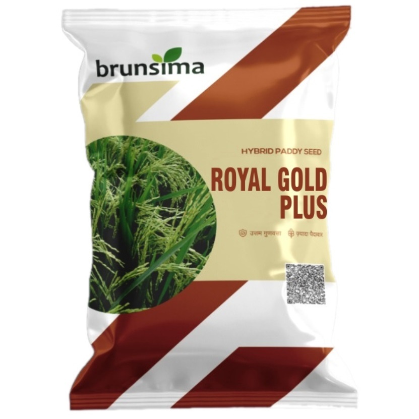 Royal Gold Plus Rice - Cultivation Type: Common