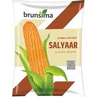 Salaar Maize