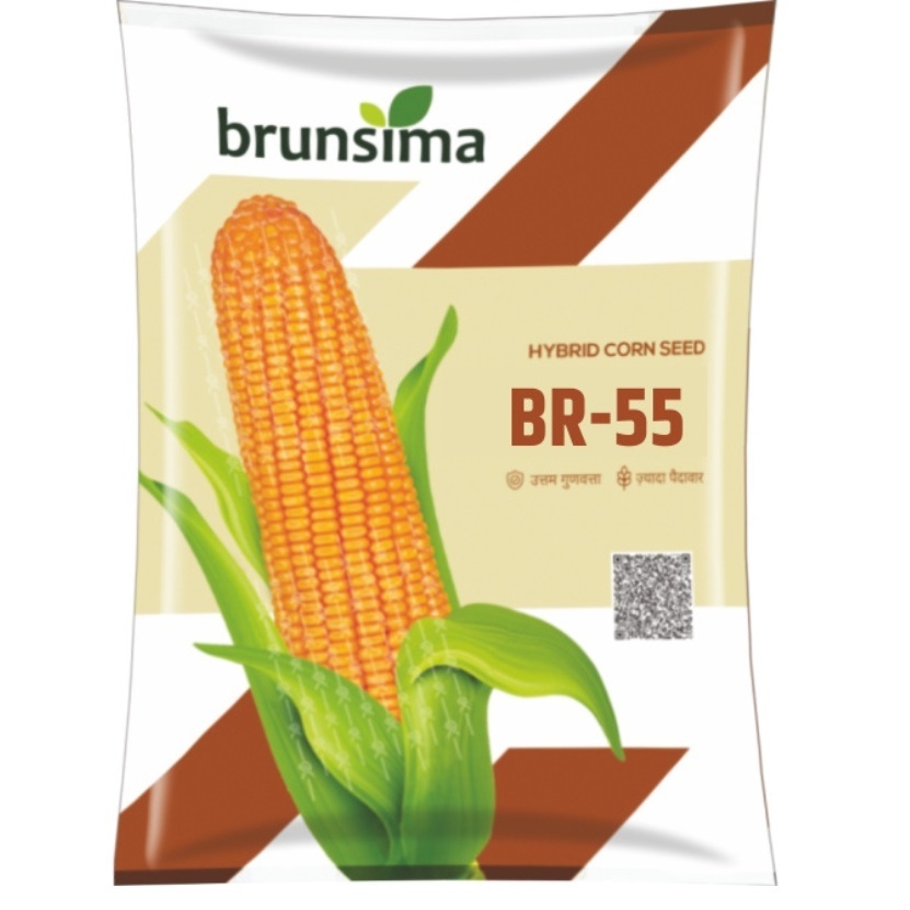 BR-55 Maize