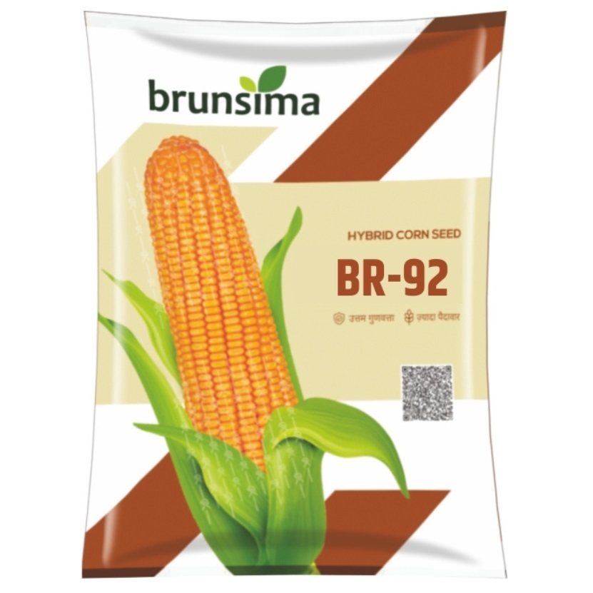 BR-92 Maize