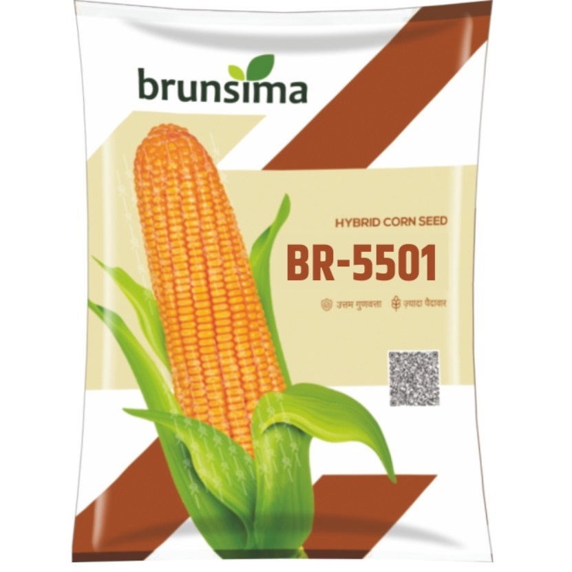 BR-5501 Maize