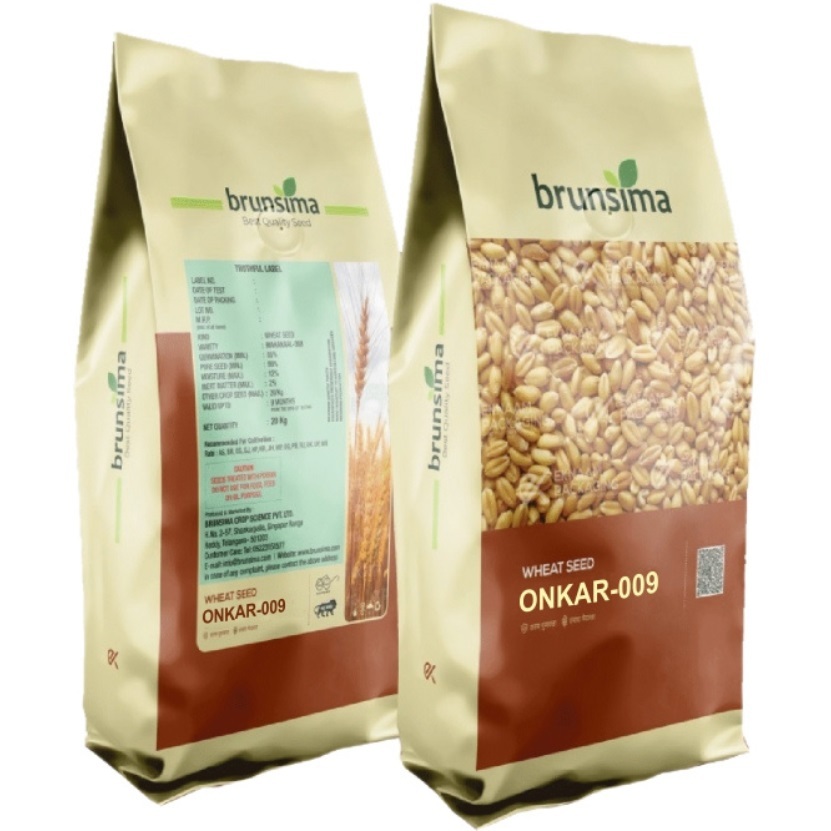 Onkar-009 Wheat