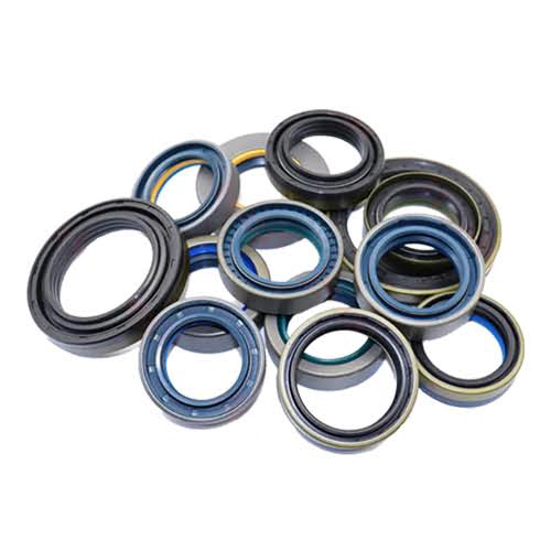 Oil Seal - Color: As Per Demand