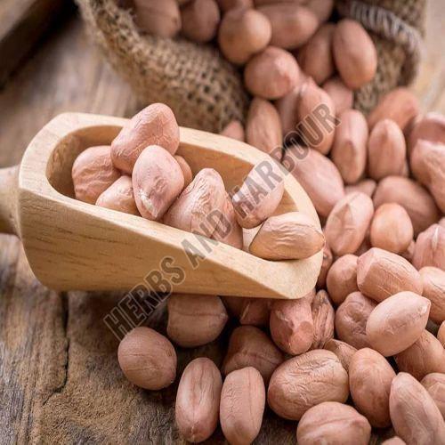 Groundnut Seeds - Cultivation Type: Common
