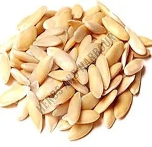 Melon Seeds - Cultivation Type: Common