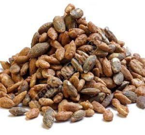 Cinamon Bark - Grade: Food Grade