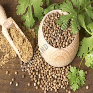 Coriander Seeds - Grade: Food Grade