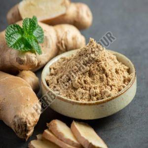 Ginger Powder - Grade: Food Grade