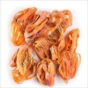 Mace Seeds Spice - Grade: Food Grade