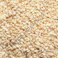 Sesame Seeds