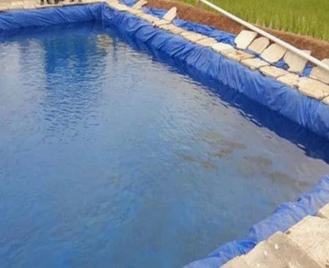 Pvc Pondliner - Pvc Material, As Per Requirement Size, Blue Color | Durable, Warranty Included, Ideal For Aquatic Applications, Best For Retaining Water