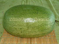 Sugar Emperor Watermelon Seeds