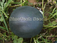 Black Chairman Watermelon Seeds