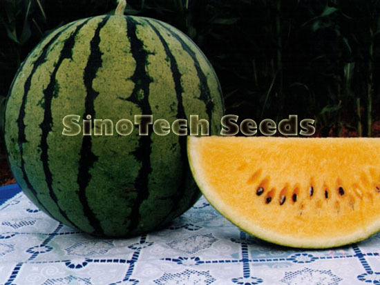 Sugar Star Watermelon Seeds