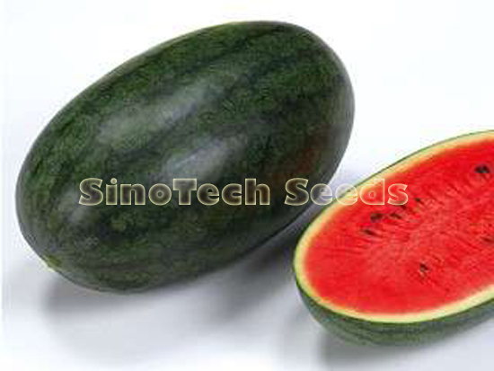 Butterfly Watermelon Seeds - Cultivation Type: Common