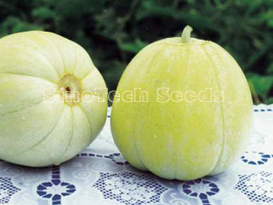King Yu Melon Seeds - Cultivation Type: Common