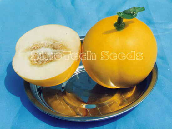 Gold Baby Melon Seeds - Cultivation Type: Common