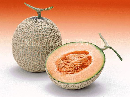 Domi Melon Seeds - Cultivation Type: Common