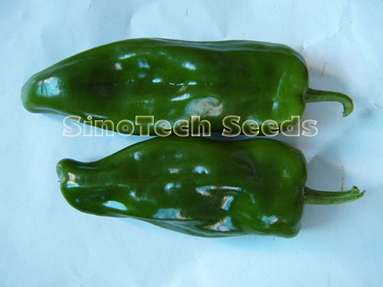 Rainflower Hot Pepper Seeds - Cultivation Type: Common