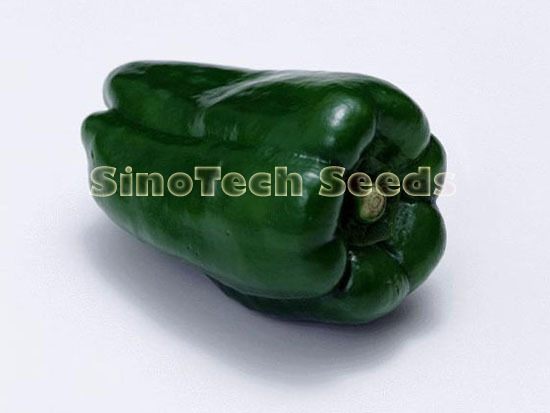 Sp901 Sweet Pepper Seeds - Cultivation Type: Common